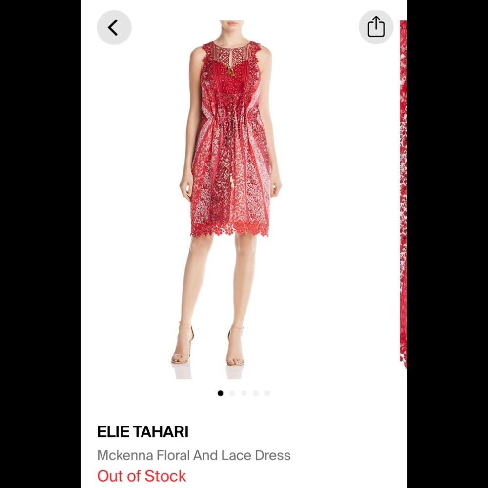NWT Elie Tahari Red Lace/Embroidered Dress